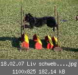 18.02.07 Liv schwebend überm Weitsprung.jpg